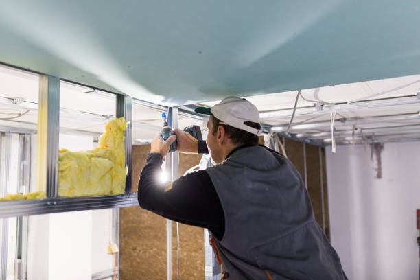 Trusted Mendon, IL Insulation Installation & Removal Experts